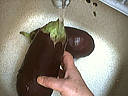 Dinde sautée aux aubergines - 6.2