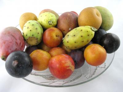 Photo : Coupelle de fruits d'automne 