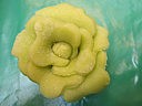 fleur en pâte d'amande