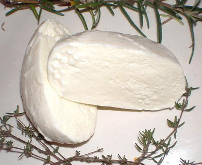 mozzarella
