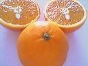 Oranges