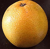 Pomélo
