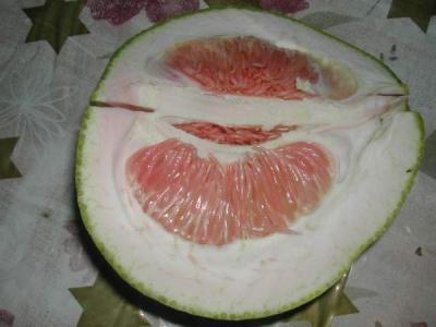 Photo : pamplemousse