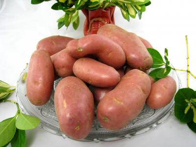 pommes de terre roosvalt