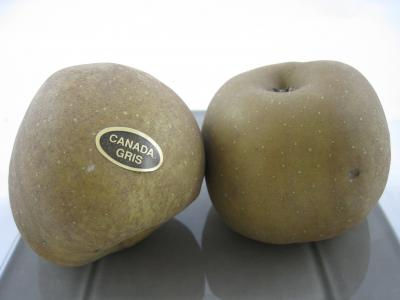 pomme canada