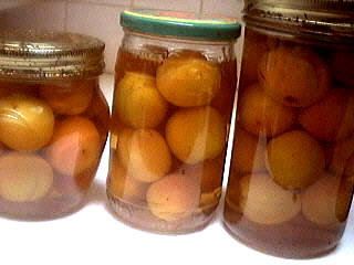 Image : recette Abricots à l'eau de vie