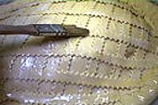 Galette des rois aux abricots - 9.1