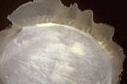 Galette des rois aux pommes et brick - 5.1