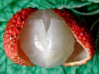 Ananas meringué - 2.3