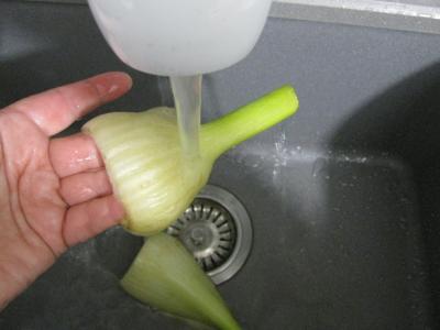 Soupe de poulet au Pécorino à l'italienne - 1.2