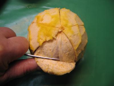 Ecorces de pomélos ou pamplemousses confits - 4.1