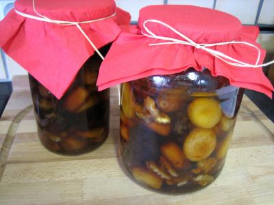 Image : recette Mendiants au rhum