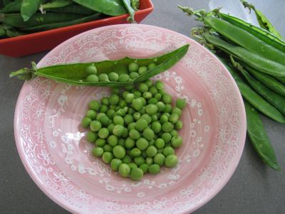 Dinde aux petits pois - 3.1