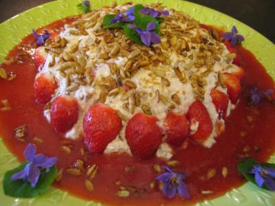 sucre vanillé : Mousse aux graines de tournesol et son coulis de fraises