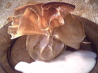 aumônière aux pommes