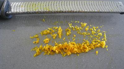 Beignets de carnaval - 1.1