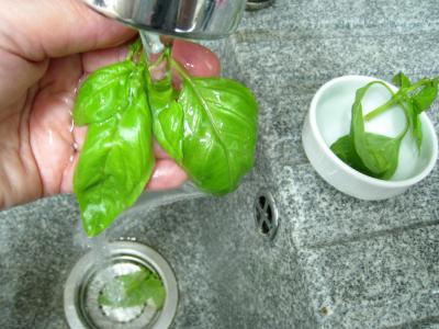 Sauce tomates sicilienne - 1.3