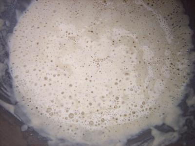 Pain à la farine complète à la poolish - 3.1