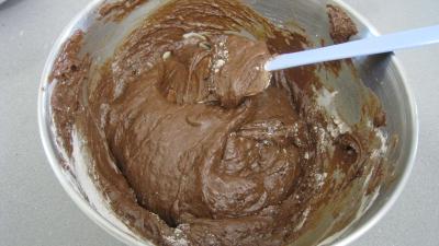 Brownies moisis aux asticots - 7.4