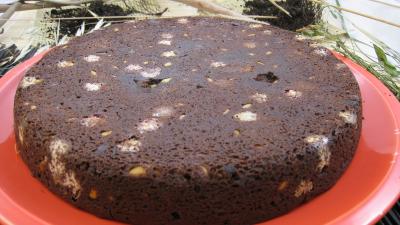 Image : recette Brownies moisis aux asticots