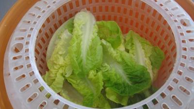 Salade Argenteuil - 5.2