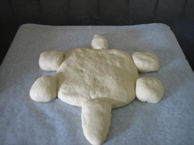 Pain aux oignons en forme de tortue - 11.2