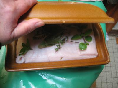 Terrine