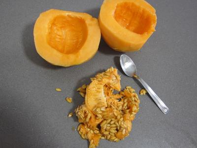 Macédoine de melon et pastèque au Porto - 1.2