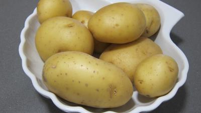 pomme de terre agata