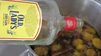 Liqueur de mirabelles au gin - 2.4